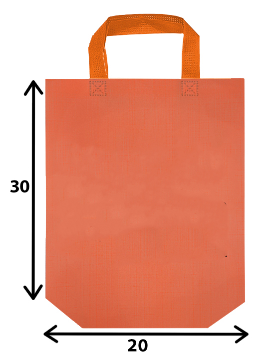 بگ پارچه ای 30*20  عمودی دسته بندی کاست کف (تا 300 عدد)
