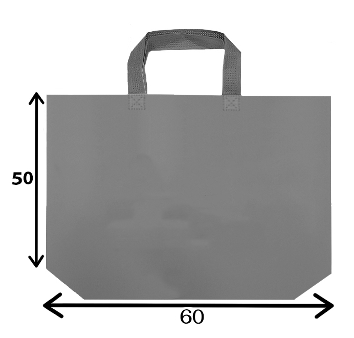 بگ پارچه ای 50*60 افقی دسته بندی کاست کف (تا 300 عدد)